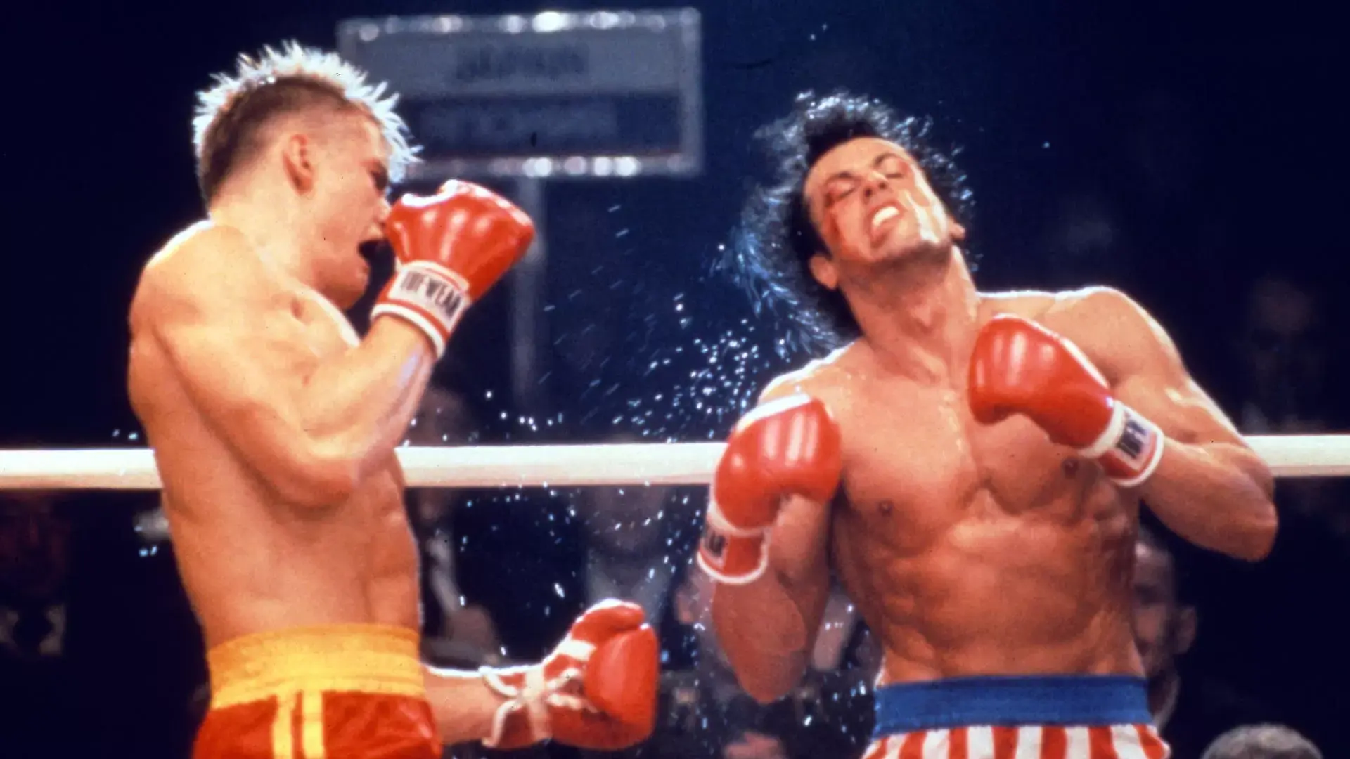 rocky fighting during a boxing batch